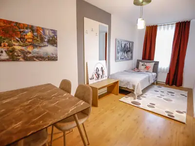Ferienwohnung für 3 Personen (45 m²) in Triberg 6/10