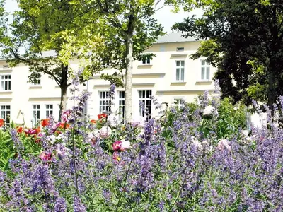 Ferienwohnung für 3 Personen (43 m²) in Tribsees 3/10