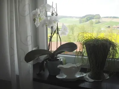 Blick vom Fenster auf das weite Land