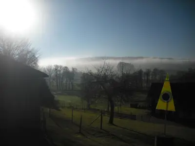 Morgennebel