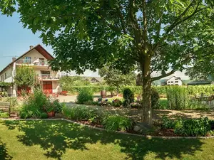 Ferienwohnung für 4 Personen (90 m²) in Trittenheim