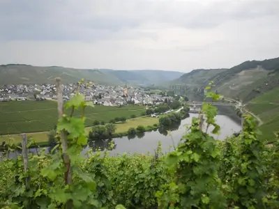 Moselschleife