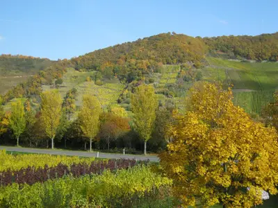 Herbst