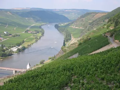 Mosellauf bei Trittenheim