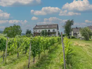 Ferienwohnung für 3 Personen (55 m²) in Trittenheim