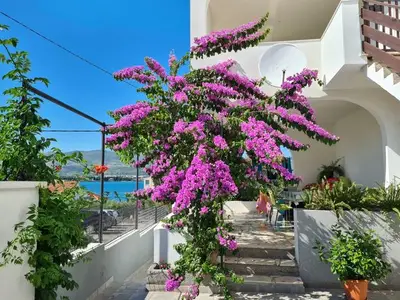 Ferienwohnung für 7 Personen in Trogir 3/10