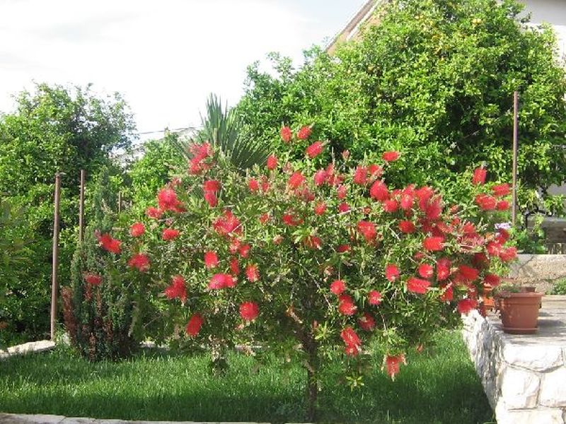 23072695-Ferienwohnung-4-Trogir-800x600-1