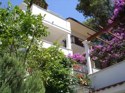 Bild 9