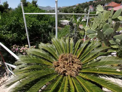Ferienwohnung für 6 Personen (100 m²) in Trogir 3/10