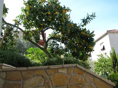 Ferienwohnung für 4 Personen (37 m²) in Trogir 6/10