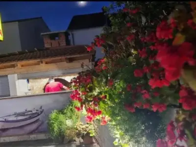 Outdoor