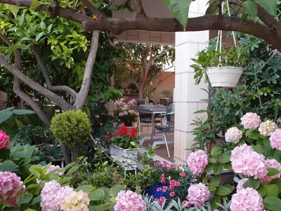 Ferienwohnung für 2 Personen (40 m²) in Trogir 5/10