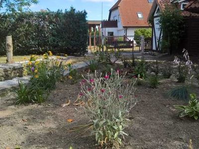 Ferienwohnung für 6 Personen (80 m²) in Trollenhagen 4/10