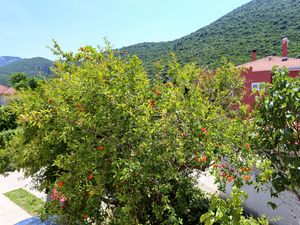 Ferienwohnung für 4 Personen (26 m&sup2;) in Trpanj