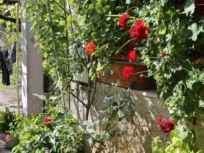 Ferienwohnung für 3 Personen in Trpanj 4/10