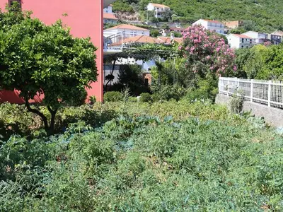 Ferienwohnung für 6 Personen in Trpanj 5/10