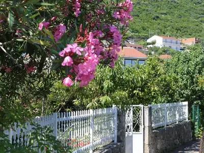 Ferienwohnung für 6 Personen in Trpanj 6/10