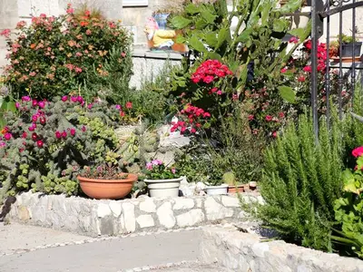 Ferienwohnung für 4 Personen in Trstenik 6/10