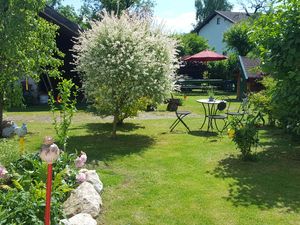 Blick vom Küchenfenster in den Garten