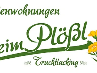 Ferienwohnung für 5 Personen (57 m²) in Truchtlaching 2/10