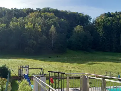 Ferienwohnung für 4 Personen (100 m²) in Trulben 9/10