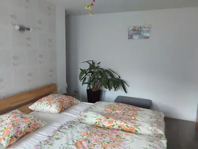 Ferienwohnung für 4 Personen (70 m²) in Brotterode-Trusetal 7/10