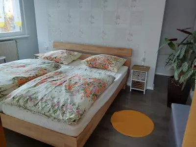 Ferienwohnung für 4 Personen (70 m²) in Brotterode-Trusetal 9/10