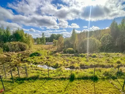 view-from-room