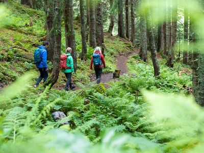 waldbaden-in-gargellen-montafon-tourismus-gmbh-ste