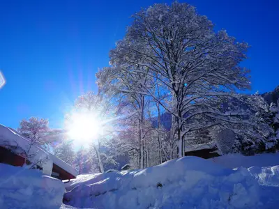 Impression Winter 1