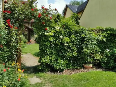 Ferienwohnung für 6 Personen (44 m²) in Tschernitz 8/10