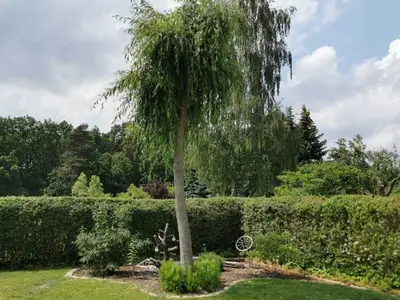 Ferienwohnung für 6 Personen (44 m²) in Tschernitz 9/10