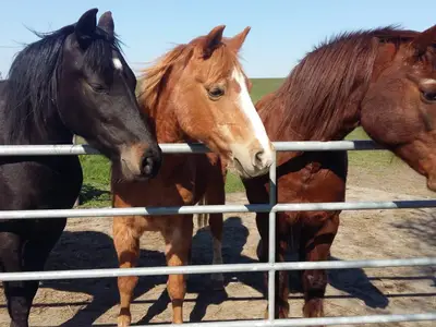 Maica, Danny und Tahnee