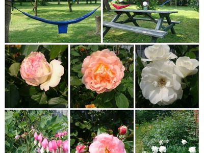 Garten-COLLAGE