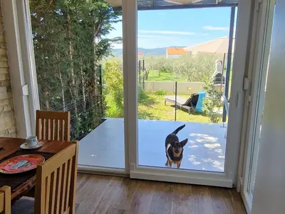 Ferienwohnung für 5 Personen (75 m²) in Turanj 1/10