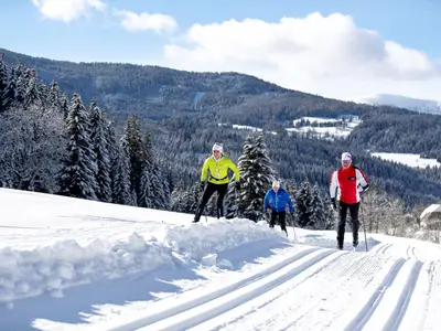AreaWinter5KM