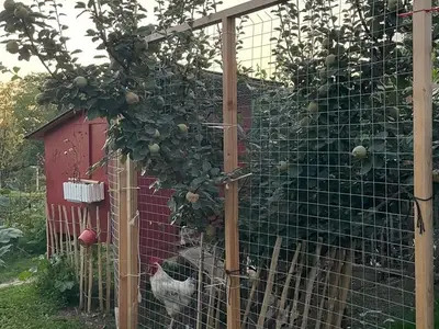 Ferienwohnung für 4 Personen (30 m²) in Überlingen 8/10