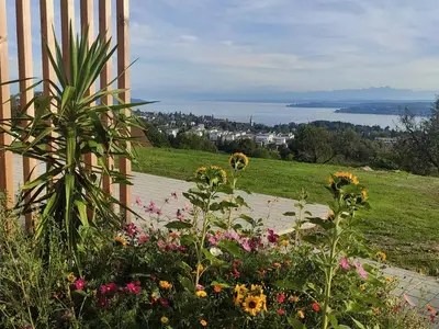Ferienwohnung für 4 Personen (75 m²) in Überlingen 2/10