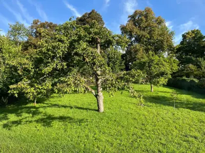 Ferienwohnung für 4 Personen (85 m²) in Überlingen 5/10