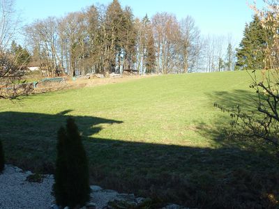 Wiese am Garten Blick Richtung Übersee