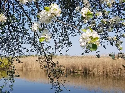 Blick in die Weite