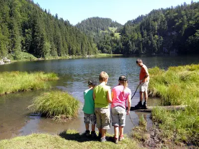 Taubensee