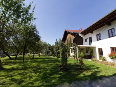 Der Garten