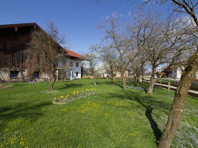 Blick auf den Garten