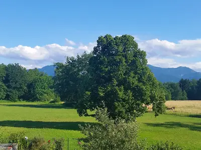 Blick von der FeWo auf den Hochgern