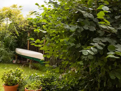 Garten mit Kanu