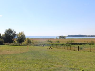 Ferienwohnung für 4 Personen (48 m²) in Ückeritz (Seebad) 8/10