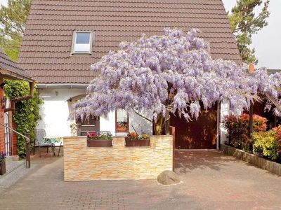 Ferienwohnung für 3 Personen (52 m²) in Ückeritz (Seebad) 1/10