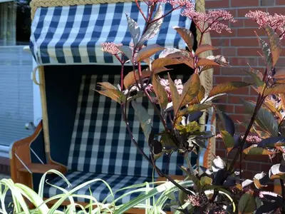 Ferienwohnung für 7 Personen (106 m²) in Ückeritz (Seebad) 5/10