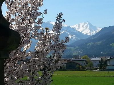 Apart Tyrol Frühlingserwachen